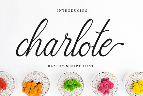 Charlote Script: A Delicate Touch for Your Creative Projects