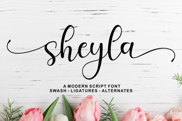 Sheyla Script: A Modern Tool for Creative Expression and Workflow Integration